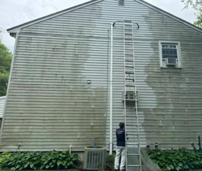 Before: Siding soft wash in Newington, CT: green buildup gone
